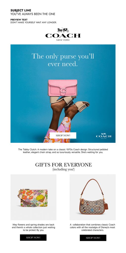 Marketing email layout showcasing Coach bags
